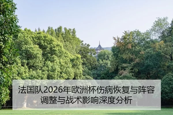 fa-guo-dui-nian-ou-zhou-bei-shang-bing-hui-fu-yu-zhen-rong-tiao-zheng-yu-zhan-shu-ying-xiang-shen-du-fen-xi-2-546.jpg