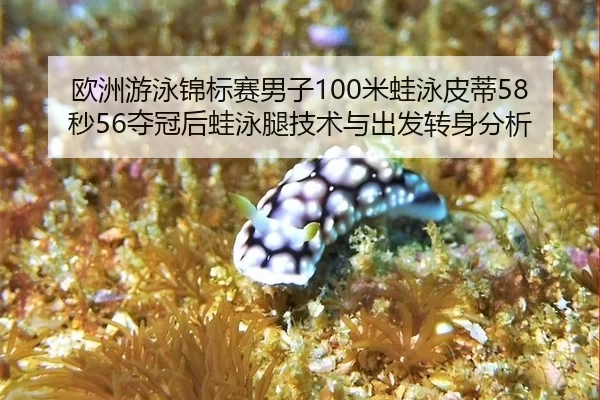 欧洲游泳锦标赛男子100米蛙泳皮蒂58秒56夺冠后蛙泳腿技术与出发转身分析