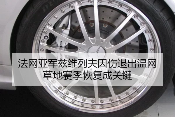 法网亚军兹维列夫因伤退出温网 草地赛季恢复成关键
